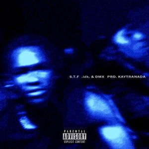 START TO FiNiSH - S.T.F (Single)