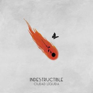 Indestructible (Single)