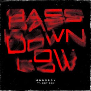 BASS DOWN LOW (Single)