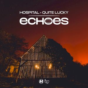 Hospital × Quite Lucky: Echoes (EP)