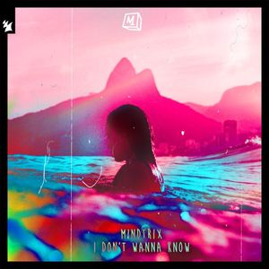 I Don't Wanna Know (Single)