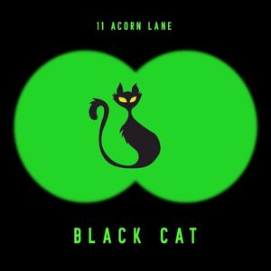 Black Cat (Single)