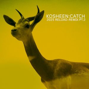 Catch (2025 Reload-Remix, Pt.2)