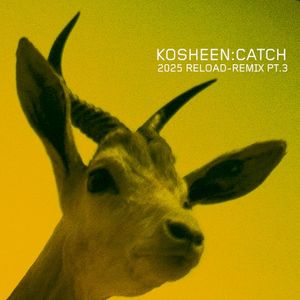 Catch (2025 Reload-Remix, Pt.3)