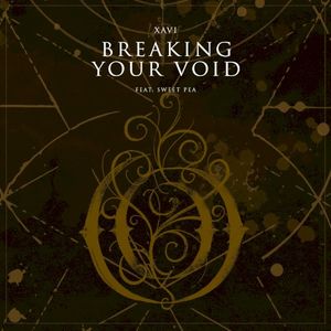 Breaking Your Void (Single)