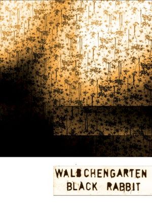 Black Rabbit