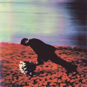 Colour Motion Picture