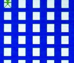 image-https://media.senscritique.com/media/000023197091/0/flag_capture.jpg