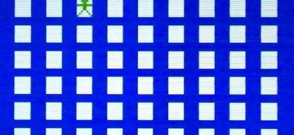 Flag Capture