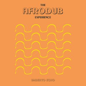 The Afrodub Experience