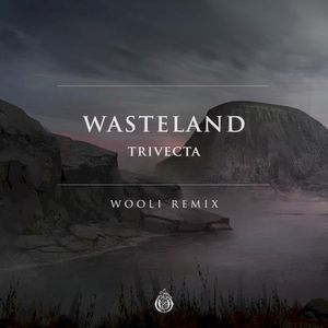 Wasteland (Wooli remix)