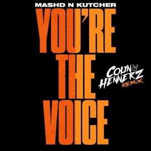 You're The Voice (Colin Hennerz Remix)