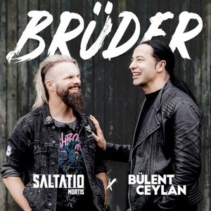 Brüder (Single)