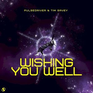 Wishing You Well (Single)