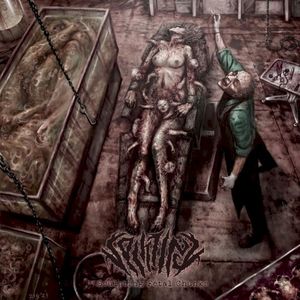 Sculpting Fetal Chunks (EP)