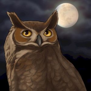 Great Horned Owl (Single)