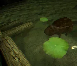 image-https://media.senscritique.com/media/000023203252/0/in_the_forest_with_a_beaver.webp