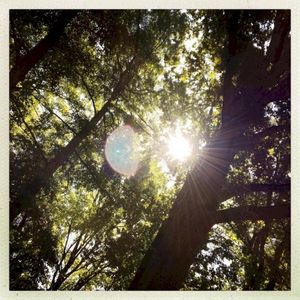 One morning (Single)