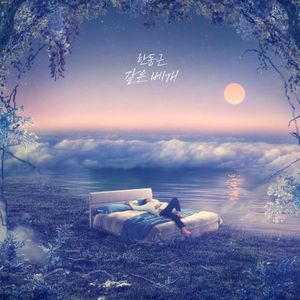 Same Pillow (Single)