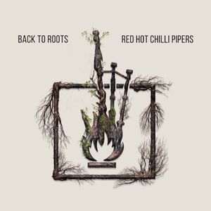 Back to Roots