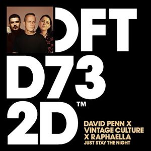 Just Stay the Night (Single)