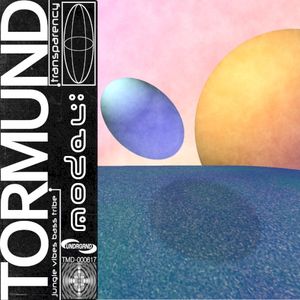 Transparency Model (Single)