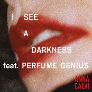 I See a Darkness (Single)