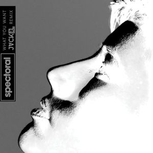 What You Want (JackEL remix) (Single)