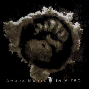 In Vitro