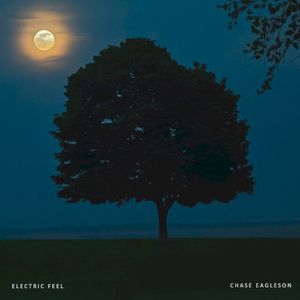 Electric Feel (Single)
