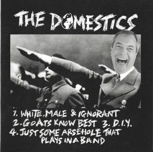 The Domestics / Volunteers (EP)