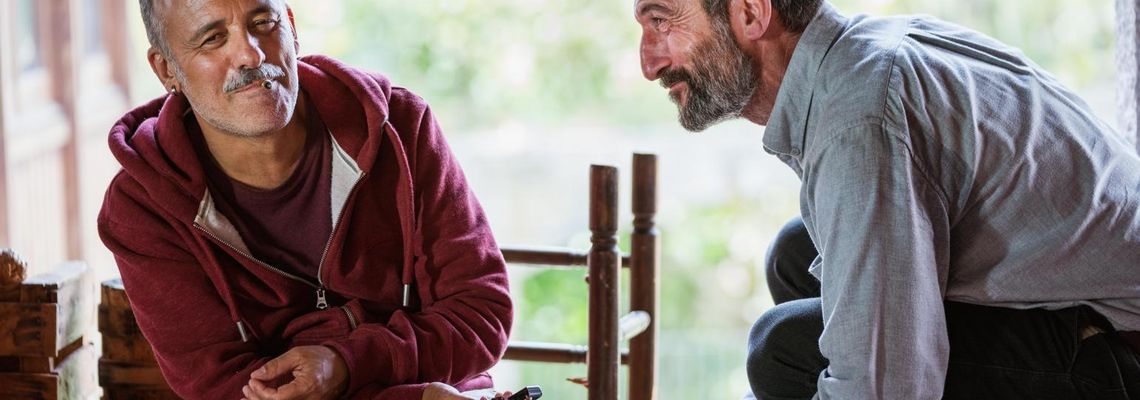 Cover Birds Flying East