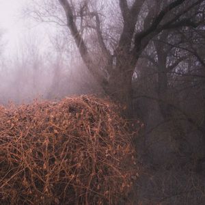 Nincs szennyezetlen szép