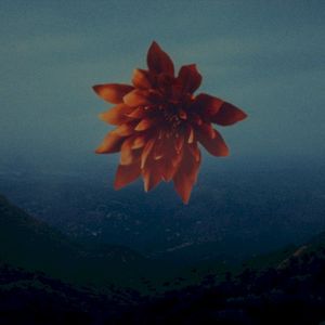 Everybody Knows (Single)