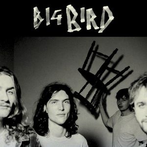 Big Bird (Single)