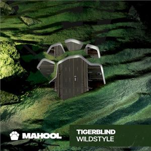 Wildstyle (Single)
