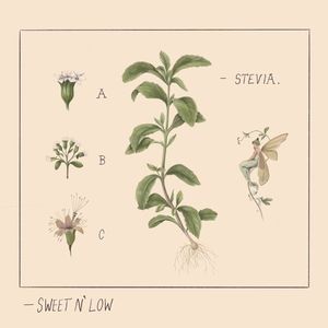 Sweet n’ Low (Single)
