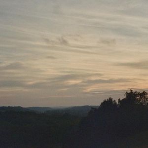 Calling (Single)