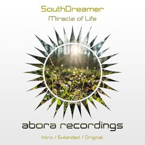 Miracle of Life (Single)