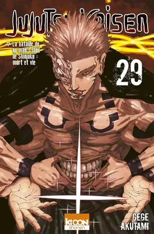 Jujutsu Kaisen, tome 29