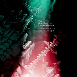 Two Stories of Resemblance