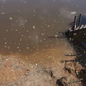 The Lady With the Arrows (Original Motion Picture Soundtrack) (OST)