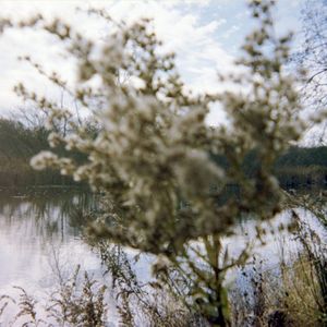 Don't Forget It / Over Everything (Single)