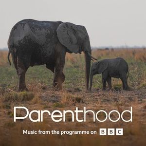 Go Steady (from BBC’s Parenthood) (Single)