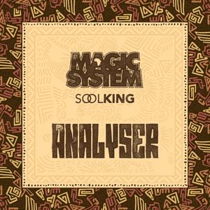 Analyser (Single)