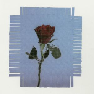 The rose (Single)