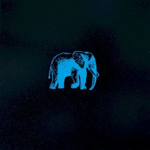 An Elephant Never Forgets