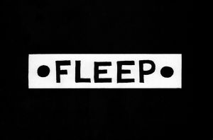 Fleep