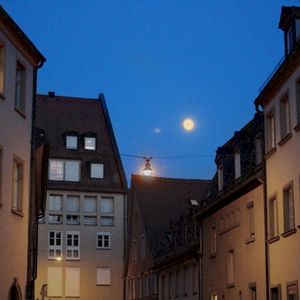 내 소원이 뭐냐면 (Single)