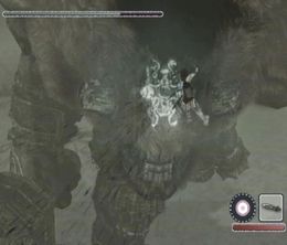 image-https://media.senscritique.com/media/000023222477/0/shadow_of_the_colossus.jpg
